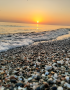 caspian beach