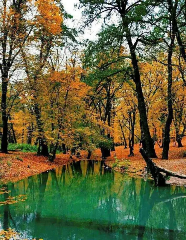 Golestan National Park